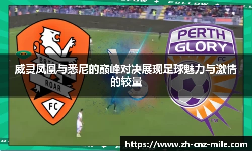 米乐m6官方网站